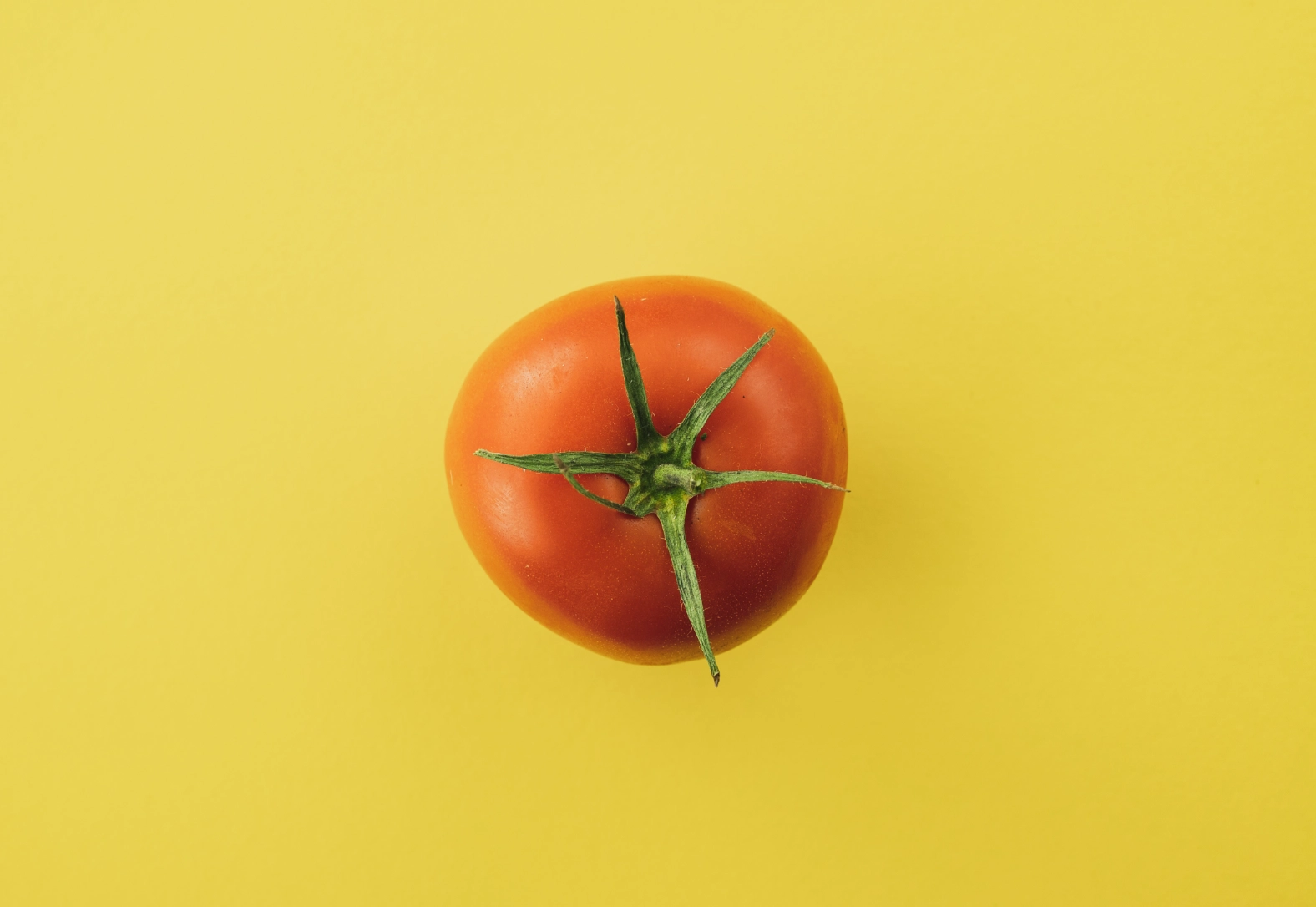 a tomato with a green stem