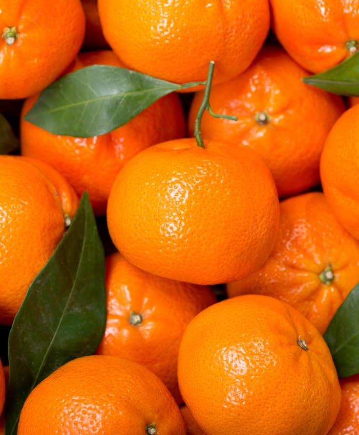 Mandarina