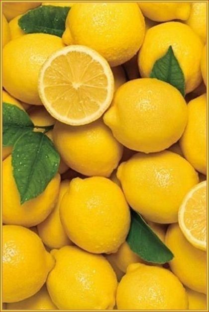 Limón