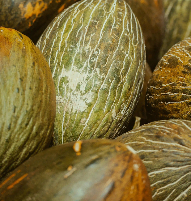 Melón