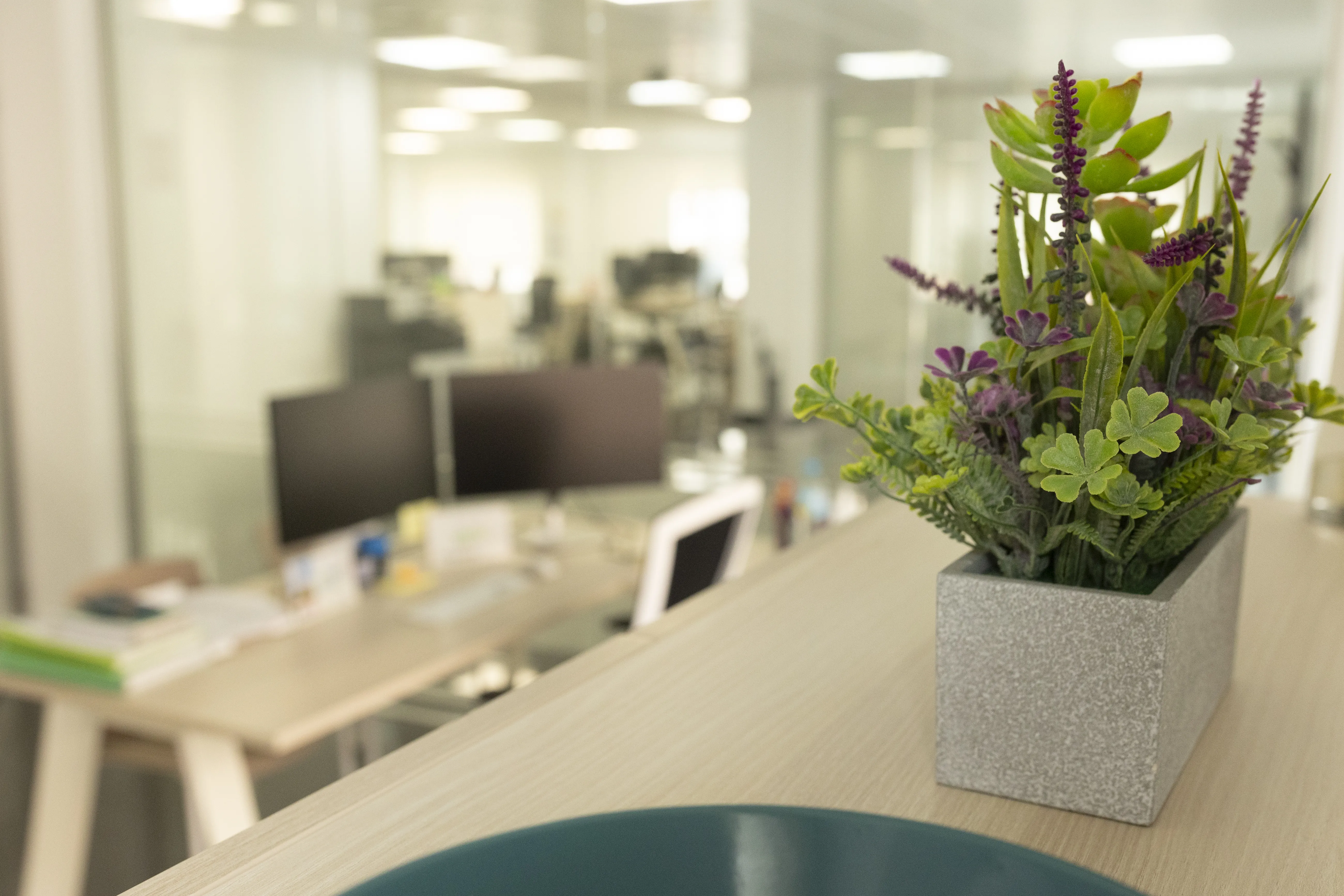 Departamento de Sales Assistant