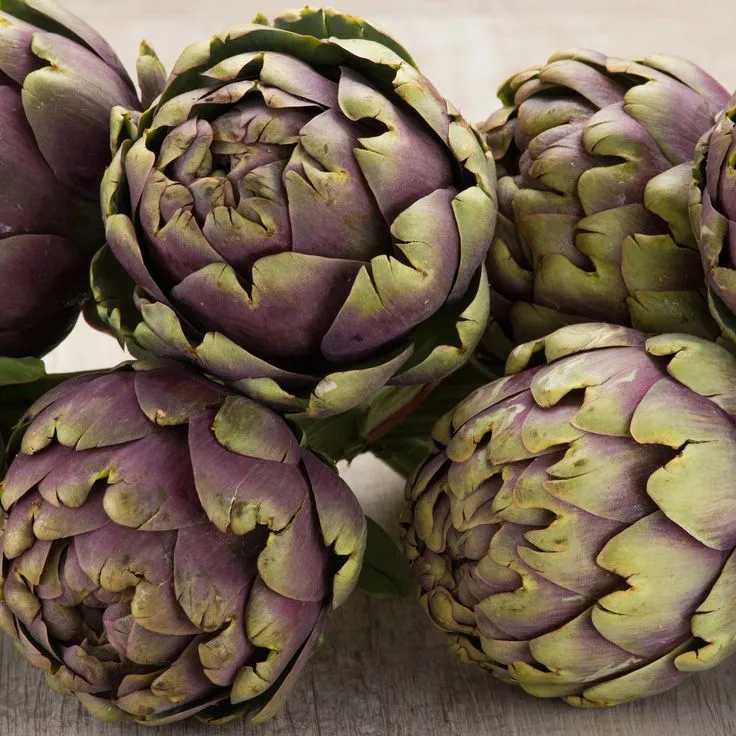 Alcachofa