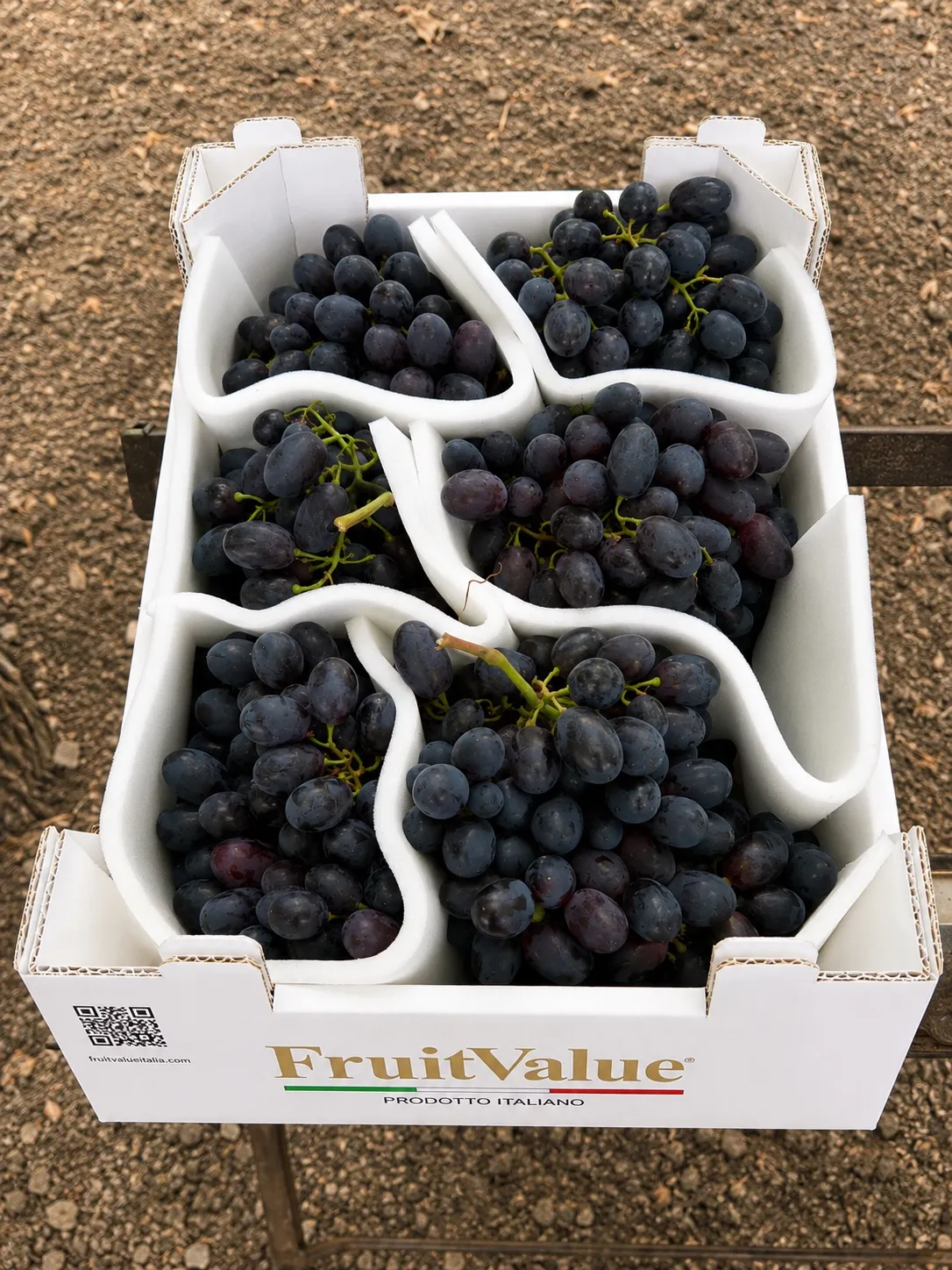Uva negra