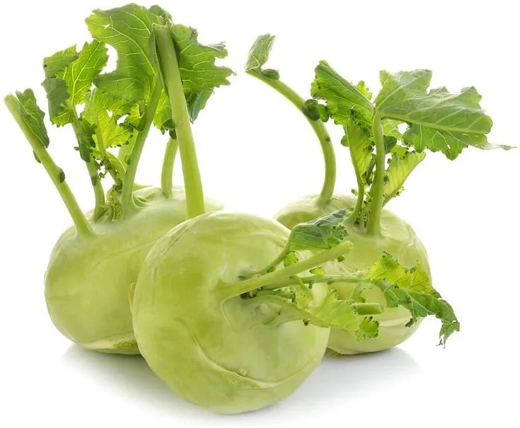 Kohlrabi