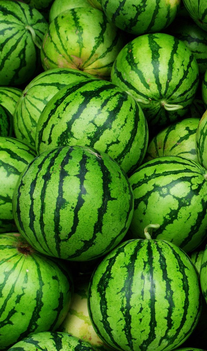 Sandia